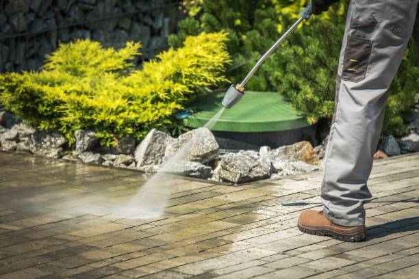 Best Winterizing Services  in Bally, PA